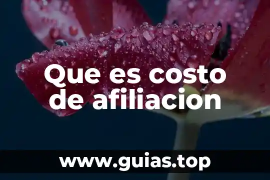 Que es el costo el dinero 4 Que es costo de afiliacion