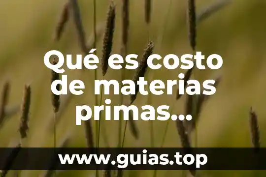 Pensamiento critico que es materias 7 Qué es costo de materias primas recibidas