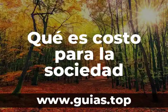 Que es sociedad de la informacion y del conocimiento 5 Qué es costo para la sociedad