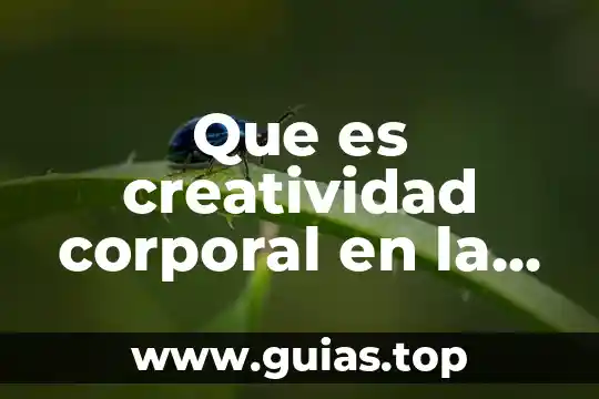 Que es la educacion institucional 4 Que es creatividad corporal en la educacion fisica