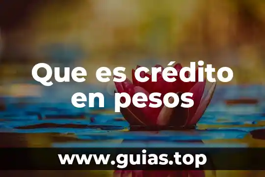 Que es la etica del cuidado concepto 8 Que es crédito en pesos