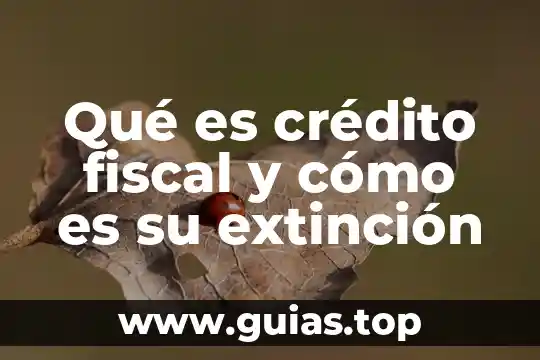 Que es un efectos fiscal en contabilidad 3 Qué es crédito fiscal y cómo es su extinción