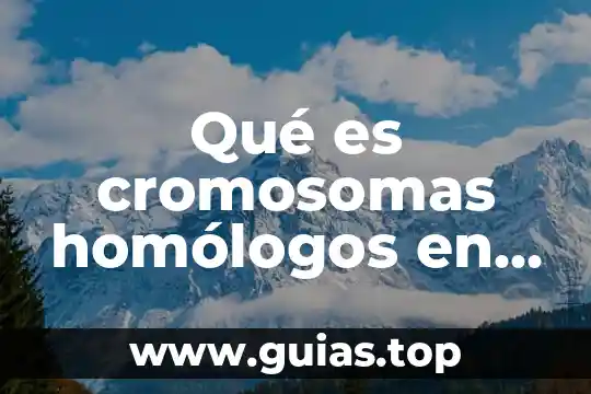 Que es yuxtapueste diccionario 6 Qué es cromosomas homólogos en diccionario