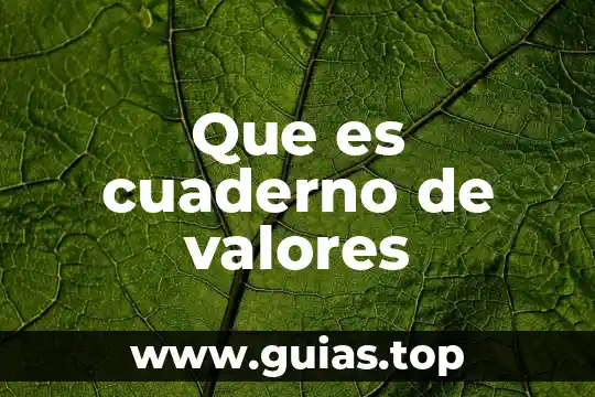 Que es valores de caja 5 Que es cuaderno de valores