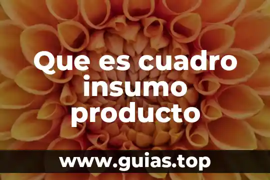 Qué es la definición del producto o servicio 5 Que es cuadro insumo producto