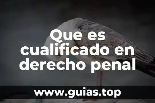 Que es una arma de fuego derecho penal 7 Que es cualificado en derecho penal