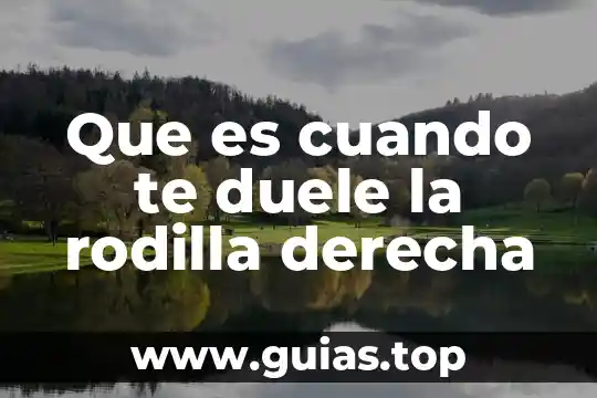 Que es te meto mi webo por sonso 3 Que es cuando te duele la rodilla derecha