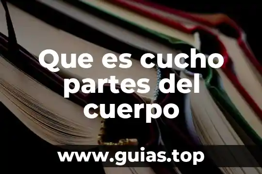 Que es el libro y sus partes y tipos 5 Que es cucho partes del cuerpo