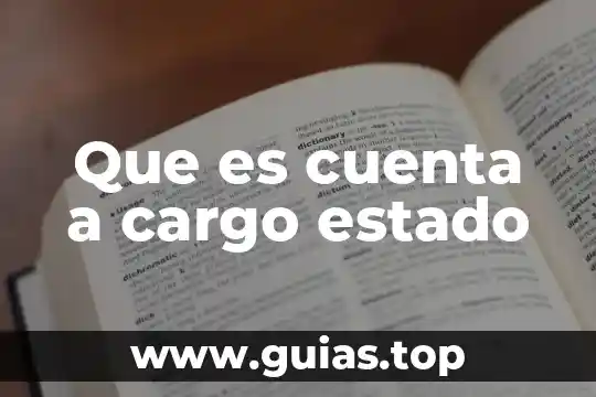 Que es una protesta de cargo un perito 3 Que es cuenta a cargo estado