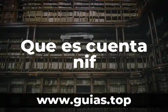 Qué es la inversión en planta según las NIF 3 Que es cuenta nif