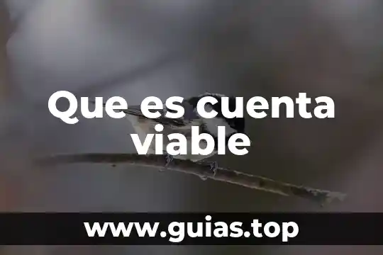 Que es un fondo de soporte para una cuenta 5 Que es cuenta viable