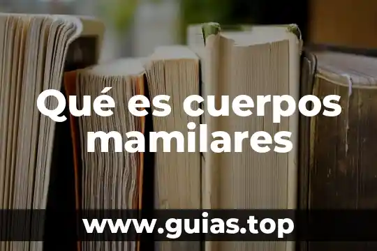 Qué es vértices de los cuerpos geométricos 6 Qué es cuerpos mamilares