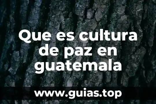 Que es la paz con justicia social 4 Que es cultura de paz en guatemala