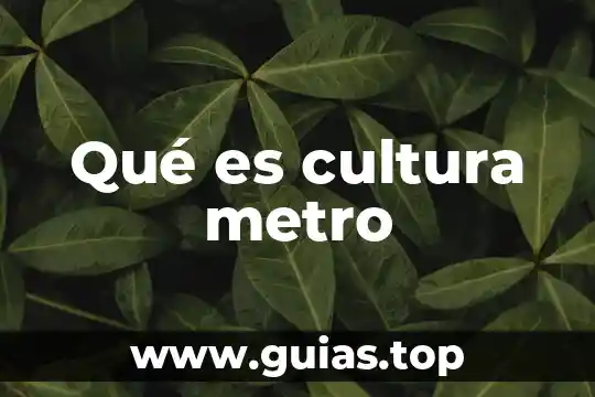 Qué es cultura metro