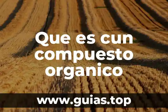 Que es compuesto un texto informativo 3 Que es cun compuesto organico