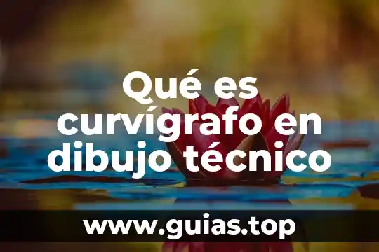 Qué es talento técnico definición 5 Qué es curvígrafo en dibujo técnico