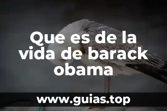 Que es una narracion de vida concepto 5 Que es de la vida de barack obama