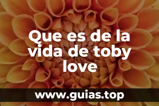 Qué es vida frenética 3 Que es de la vida de toby love