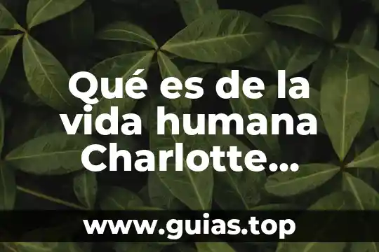 La vida es sueño análisis literario que es 6 Qué es de la vida humana Charlotte Marley
