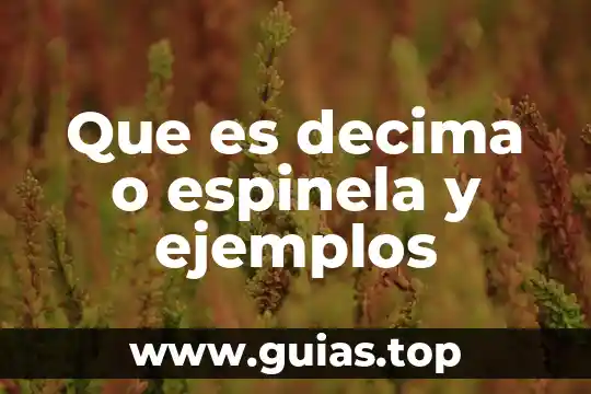 Que es cuento y tipos ejemplos 4 Que es decima o espinela y ejemplos