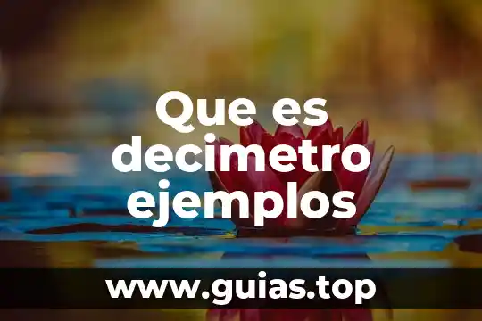 Qué es un decímetro cúbico definición 3 Que es decimetro ejemplos