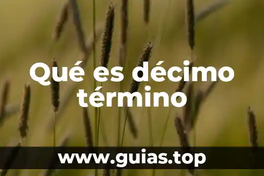 Mapa de sol que es una compañia 6 Qué es décimo término