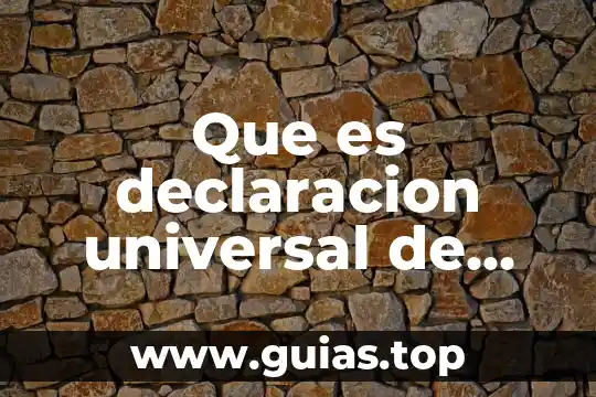 Declaración Universal de los Derechos Humanos para adolescentes que es 3 Que es declaracion universal de los derechos humanos yahoo
