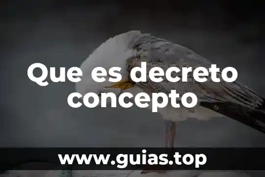 Que es decreto de libertad de comercio 1824 3 Que es decreto concepto