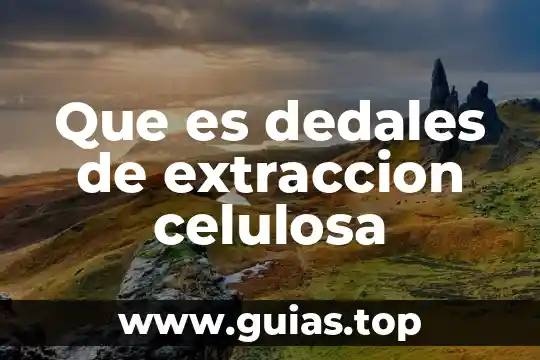 Que es celulosa batida en agua 6 Que es dedales de extraccion celulosa