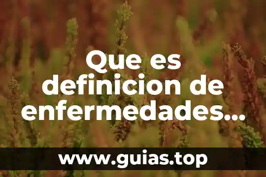 Que es la definición de un reglamento 7 Que es definicion de enfermedades prostaticas