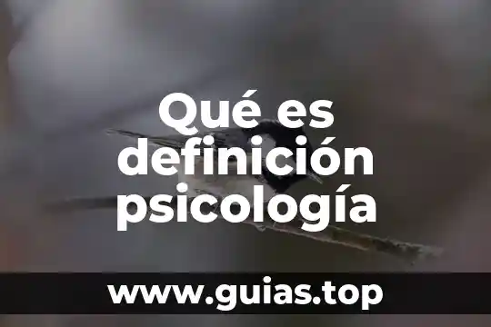 Qué es la psicología individual 3 Qué es definición psicología