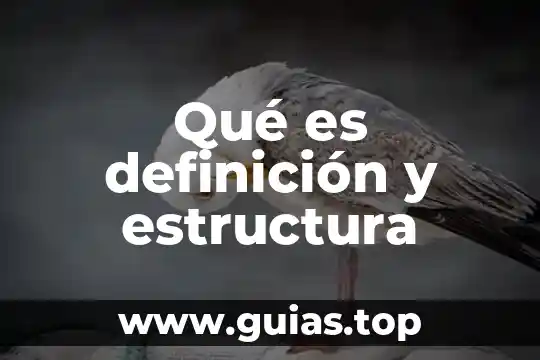 Qué es el control previo definición 4 Qué es definición y estructura