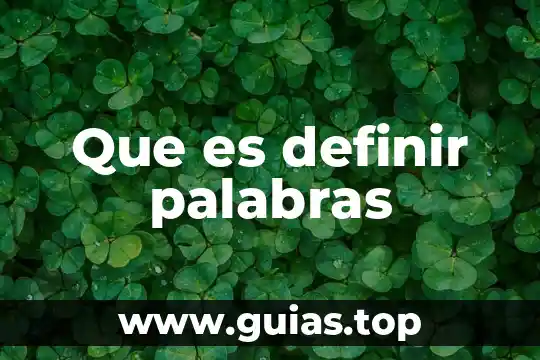 Autores que puedan definir lo que es un algoritmo 3 Que es definir palabras