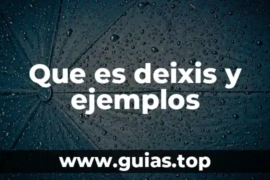 Que es un ente en contabilidad ejemplos 6 Que es deixis y ejemplos