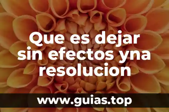 Que es mejor dejar agua con etiqueta o no 7 Que es dejar sin efectos yna resolucion
