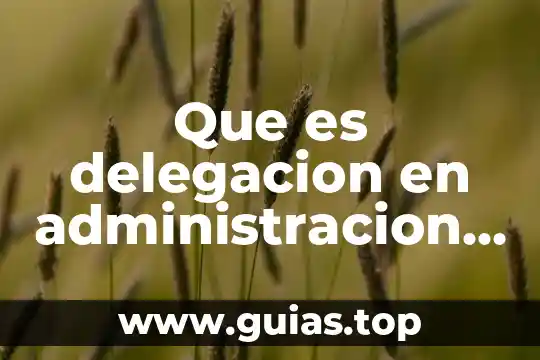 Que es el proceso de de delegación 3 Que es delegacion en administracion de empresas