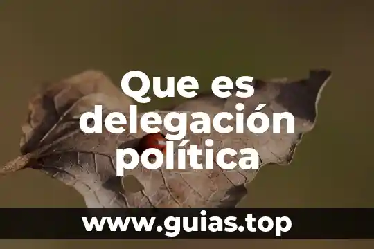 Que es el proceso de de delegación 5 Que es delegación política