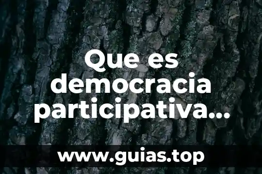 Definición que es la valentia 4 Que es democracia participativa definicion