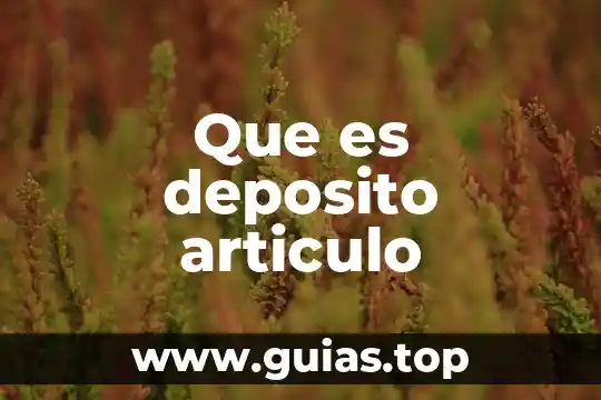 Que es la papeleta de deposito concepto 7 Que es deposito articulo