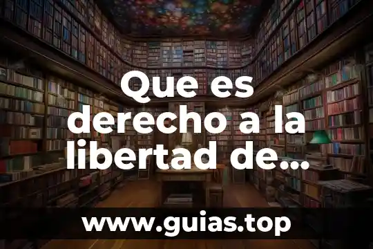 Que es el derecho a la libertad individual 8 Que es derecho a la libertad de transito