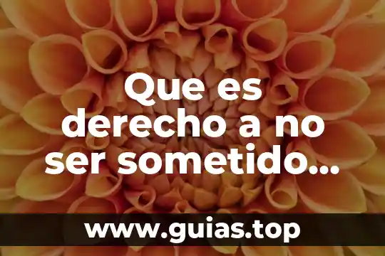 Que es ser bartender 8 Que es derecho a no ser sometido ala esclavitud