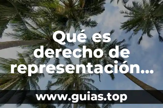Qué es un documento representación impresa cdfi 6 Qué es derecho de representación en derecho