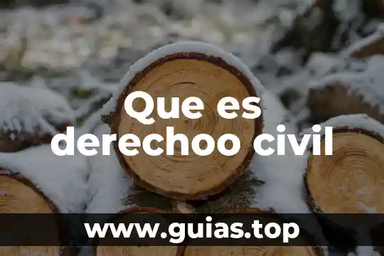 Qué es el recurso de revisión civil concepto mexicano 5 Que es derechoo civil