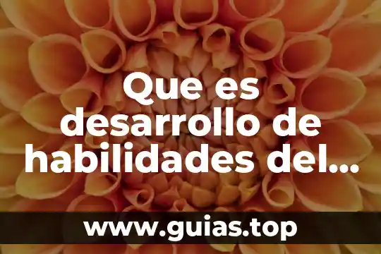 Que es verdad en desarrollo de habilidades del pensamiento 3 Que es desarrollo de habilidades del pensamiento