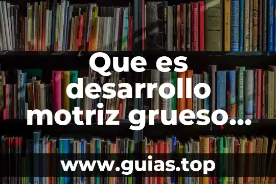 Concepto de que es un circuito motriz 7 Que es desarrollo motriz grueso y fino