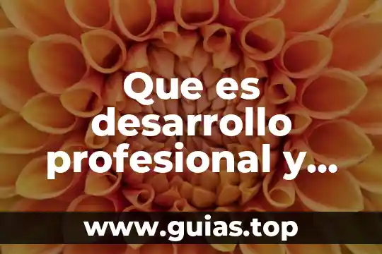 Que es el campo laboral definiciones 8 Que es desarrollo profesional y laboral