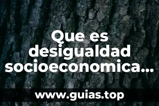 Que es una organizacion socioeconomica de mexico 3 Que es desigualdad socioeconomica en mexico