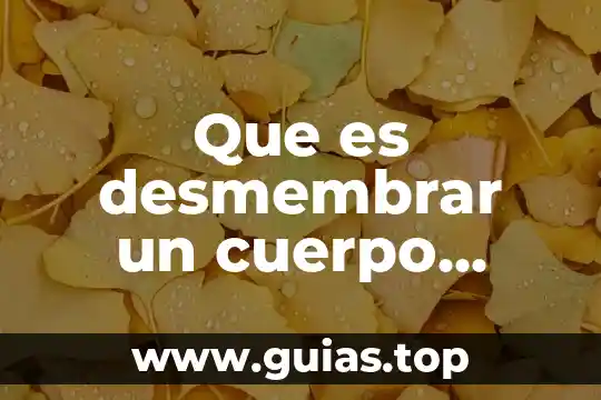 Que es ser justo en el ser humano 7 Que es desmembrar un cuerpo humano