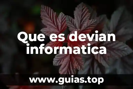 Qué es multiplexar en informática 5 Que es devian informatica