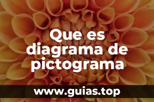 Que es la medicion en diagrama de pez 3 Que es diagrama de pictograma